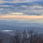 Bondella