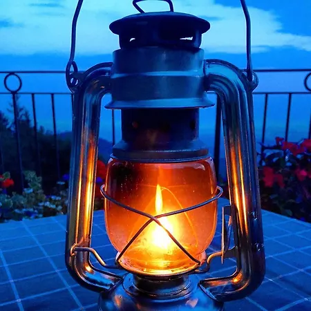 Bondella *