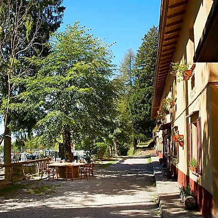 Bondella *