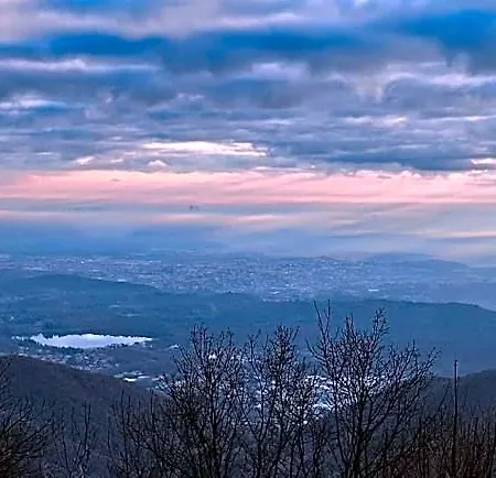 Bondella