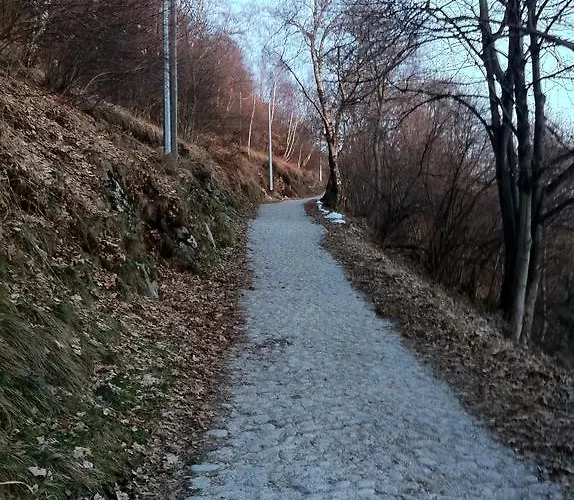 Bondella Como