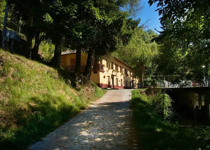 Bondella *