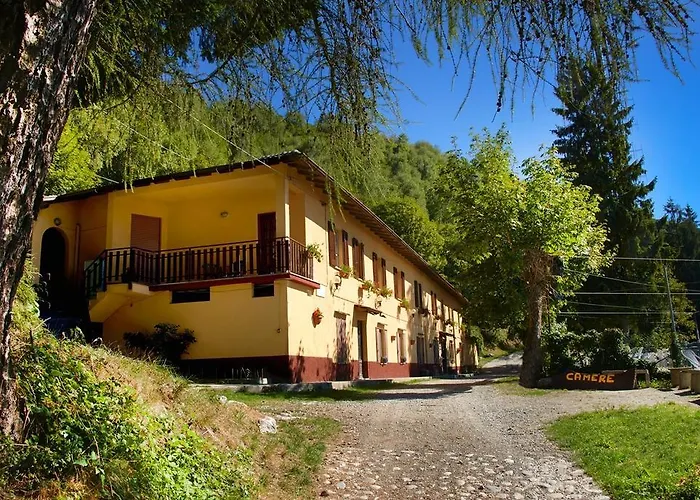 Bondella